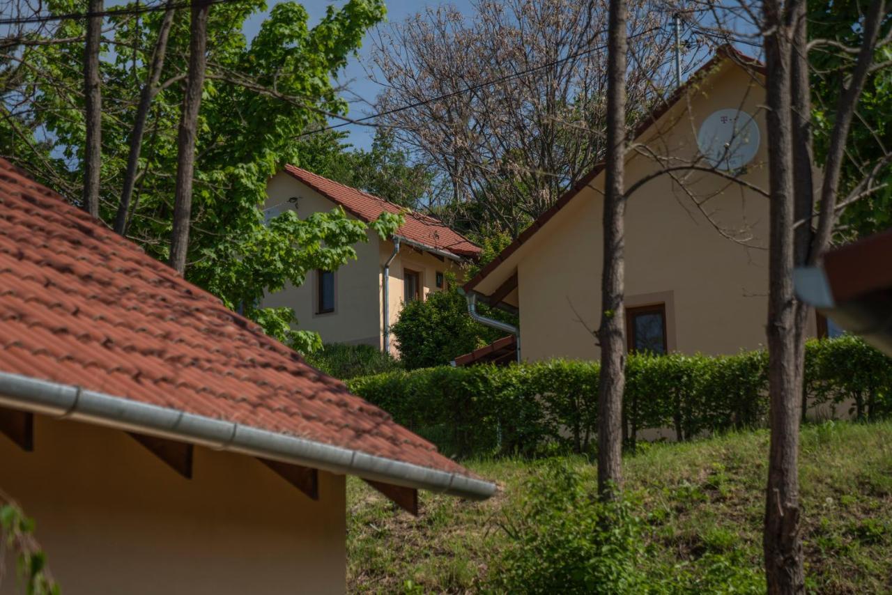 Tulipan Apartman Eger Bagian luar foto